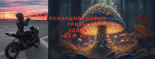 кристаллы Абаза