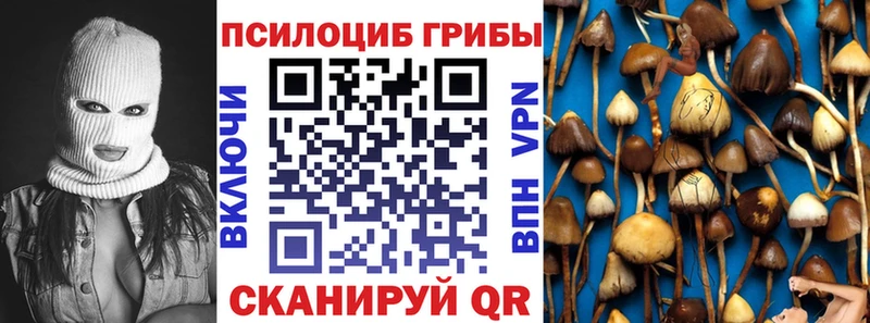 гидра маркетплейс Кашин Галлюциногенные грибы MAGIC MUSHROOMS