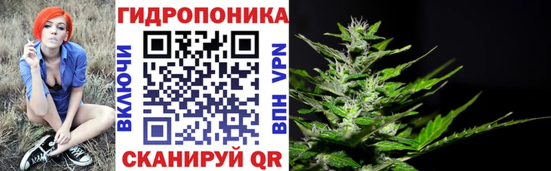 Шишки марихуана семена  Кашин 